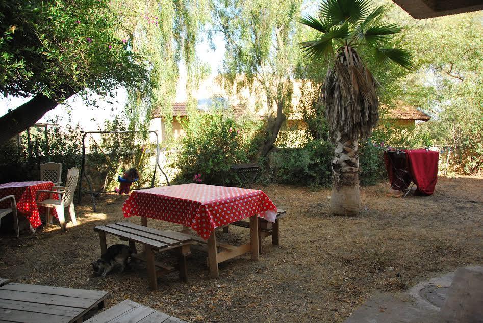 Lesanel - Guest House Arad Esterno foto
