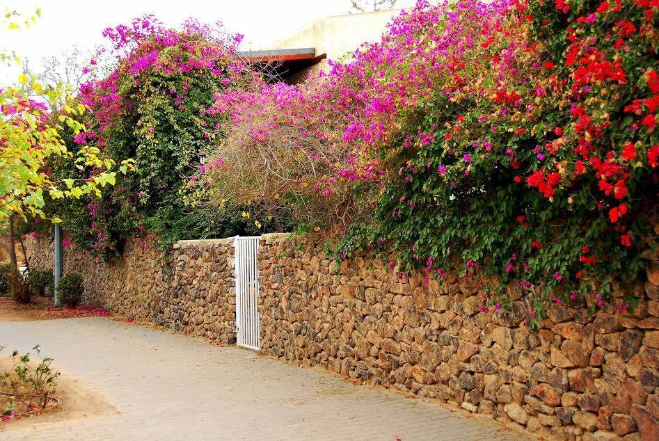 Lesanel - Guest House Arad Esterno foto