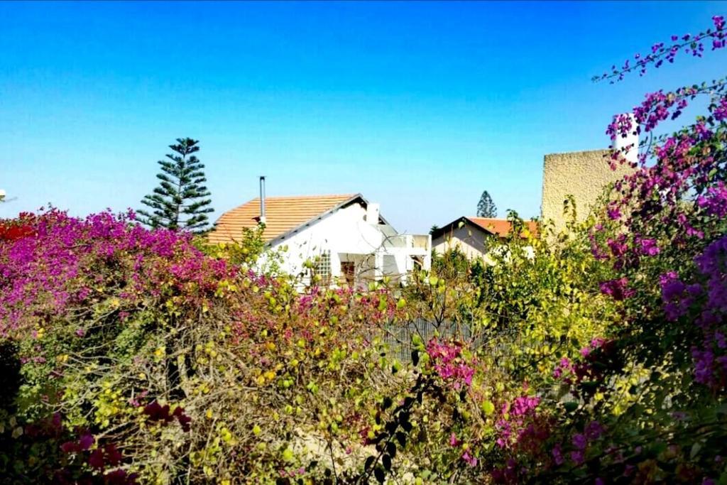 Lesanel - Guest House Arad Esterno foto